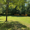 Sourwood Honey