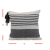 Throw Pillow- Liz Grey